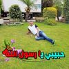 user80328599150481