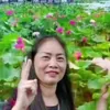thuocnguyen66bg