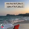 blsm2241756117934