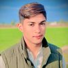 rajaalihassan7865