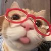 abby343