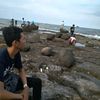 sigreg27