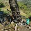 santiagoramirez_305