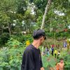 dedihartawan01
