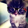 justt_asy