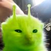nissa_ajaa_