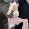 ukhty.45