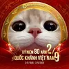 monn_384