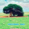 cabdg36
