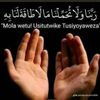 shymaa805
