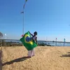 vidinharodrigues3