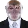 gafotasxd1