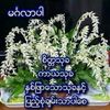 user9138271366794
