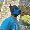 pup_max89_alpha