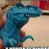nacheras11