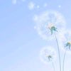 seonly_08