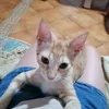 evie_love4