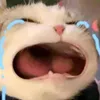 gialambuon
