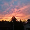 zoszulka_16