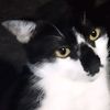 belang914