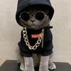 user12366702322522