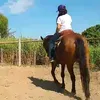 kethelyn.cristina240