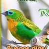 chiquititha0607