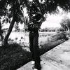 etm.just_marco_not_shydi