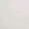 eduardomarchorro2