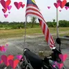 azaharin_arin