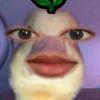 yufenife
