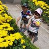 henripetrosyan2