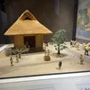 thaoinjapann