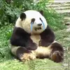 apapapapapapapapapap7