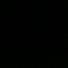 quarex_35