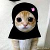 kesyadewiazzura