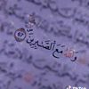 user8587357176336