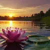 _lotus396