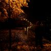 .hamosa.walk