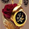 user414616818498
