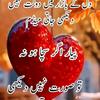 shazad8065