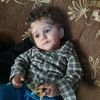 deld.nirov