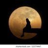 nur_aml
