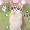 sophiaarauj0_