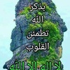 ahlamahlam445