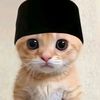 miomirza.ori