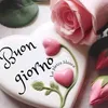 www.tiktok.com.felice