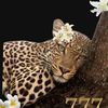 nour_bordji1