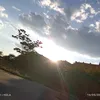 lamaspendeja75