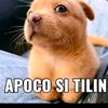 apoco_si_tilin.3